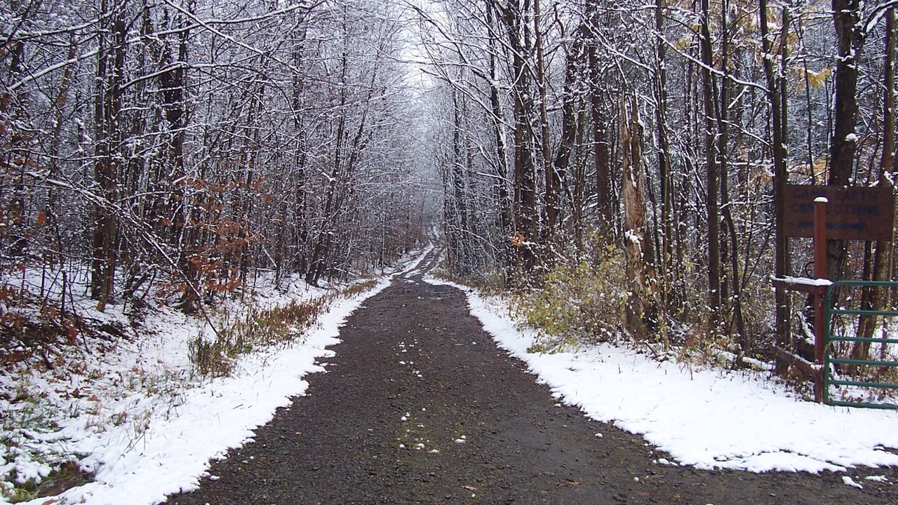 Photo of Others in Dryden