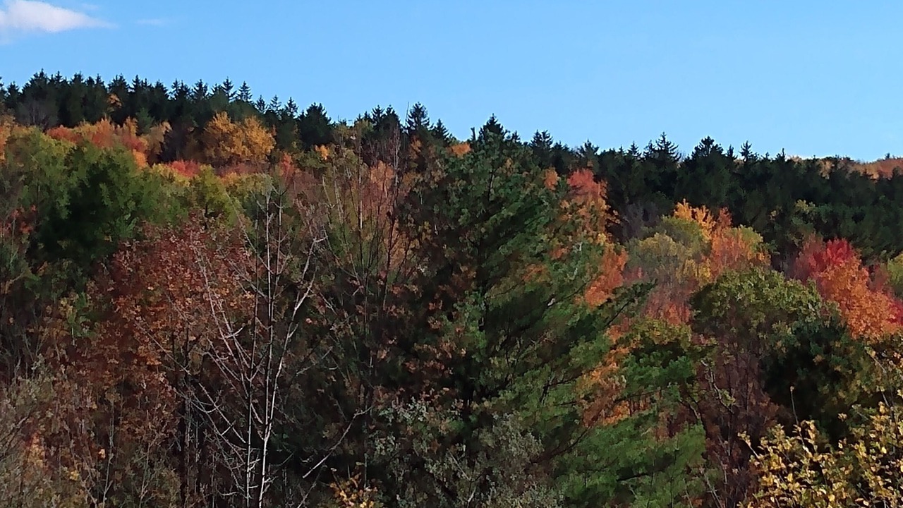 Photo of Others in Dryden