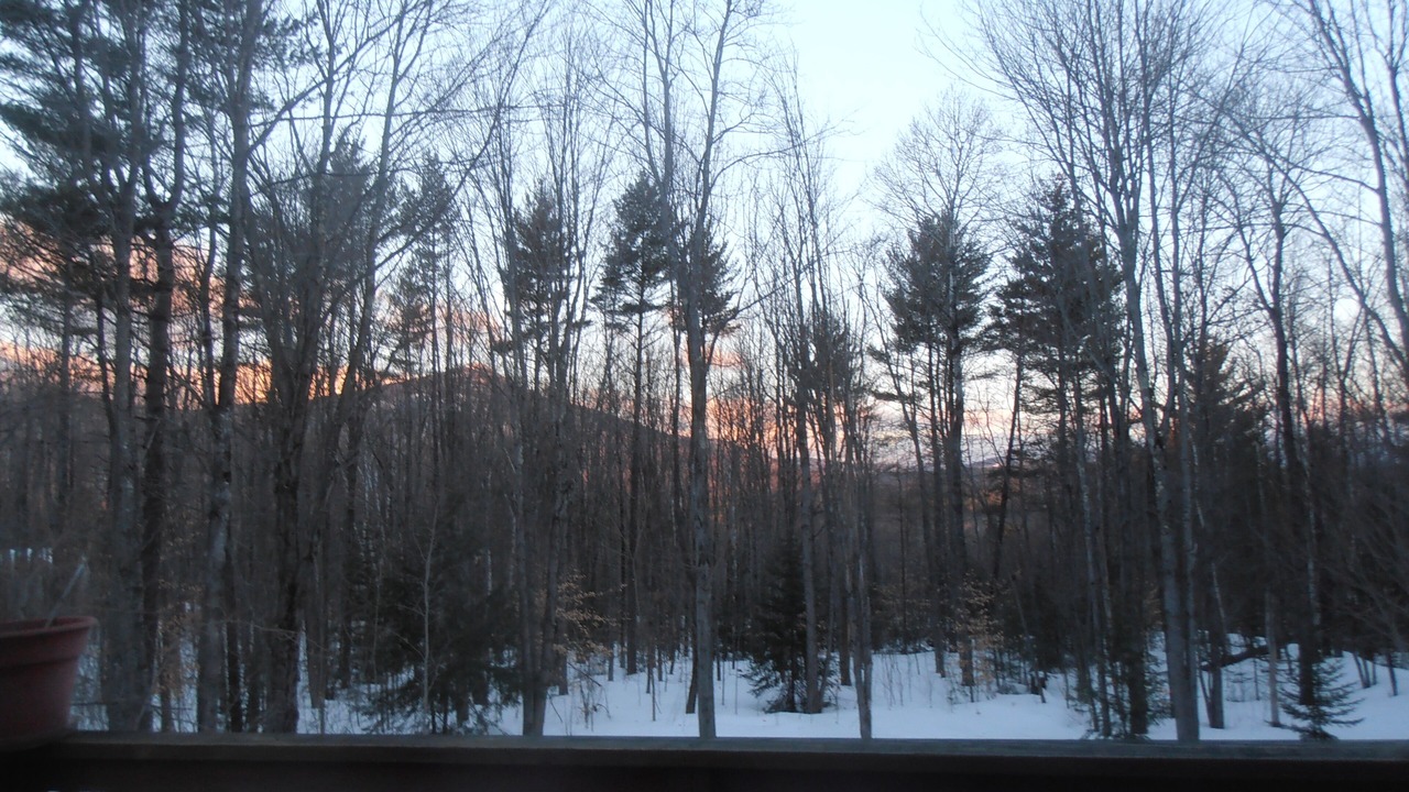 Photo of Outdoor in Conway