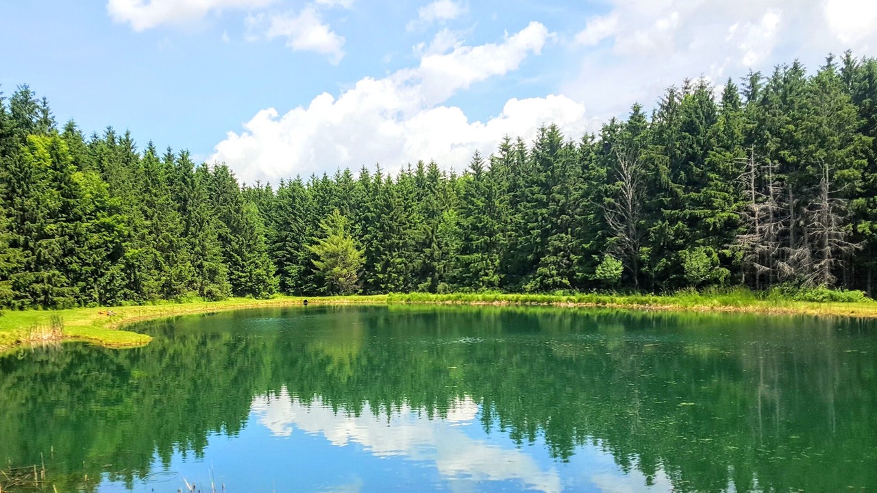Photo of Outdoor in Branchport