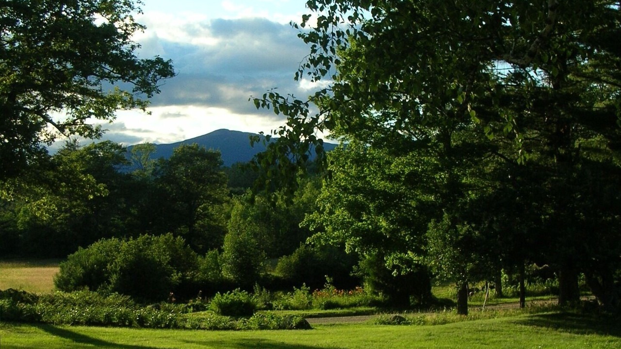 Photo of Outdoor in Tamworth