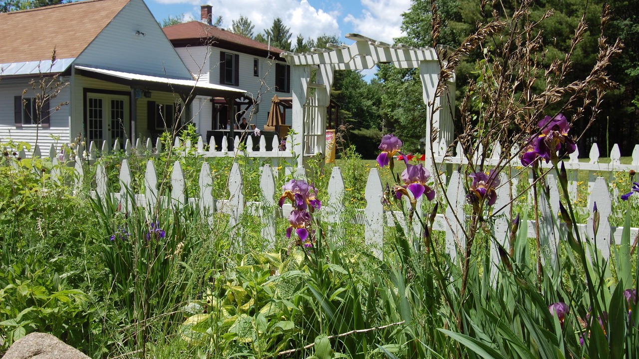 Photo of Outdoor in Carroll