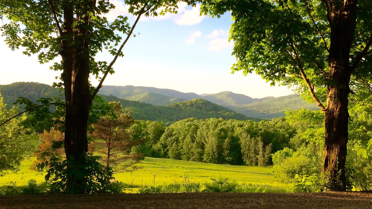 Photo of Outdoor in Richmond
