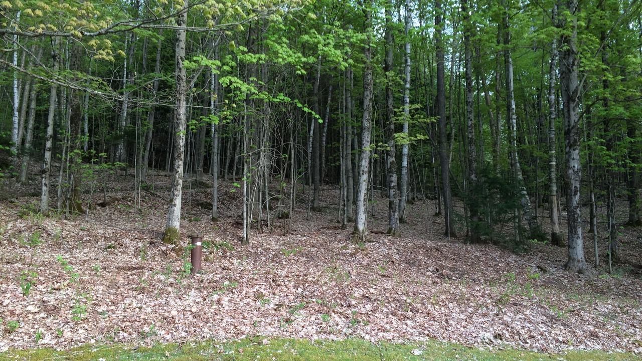 Photo of Outdoor in Richmond