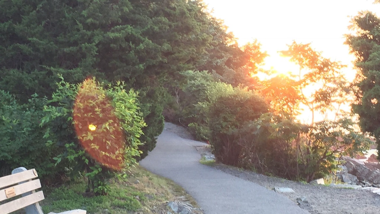 Photo of Others in Ogunquit