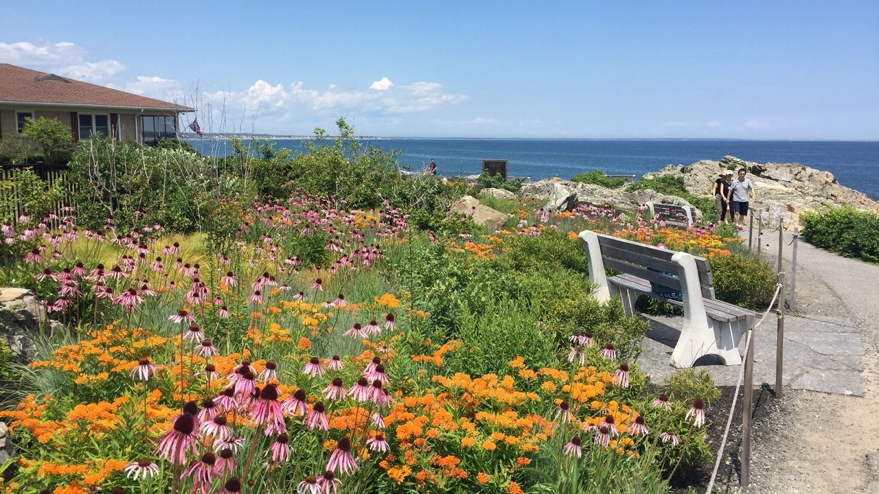 Photo of Outdoor in Ogunquit