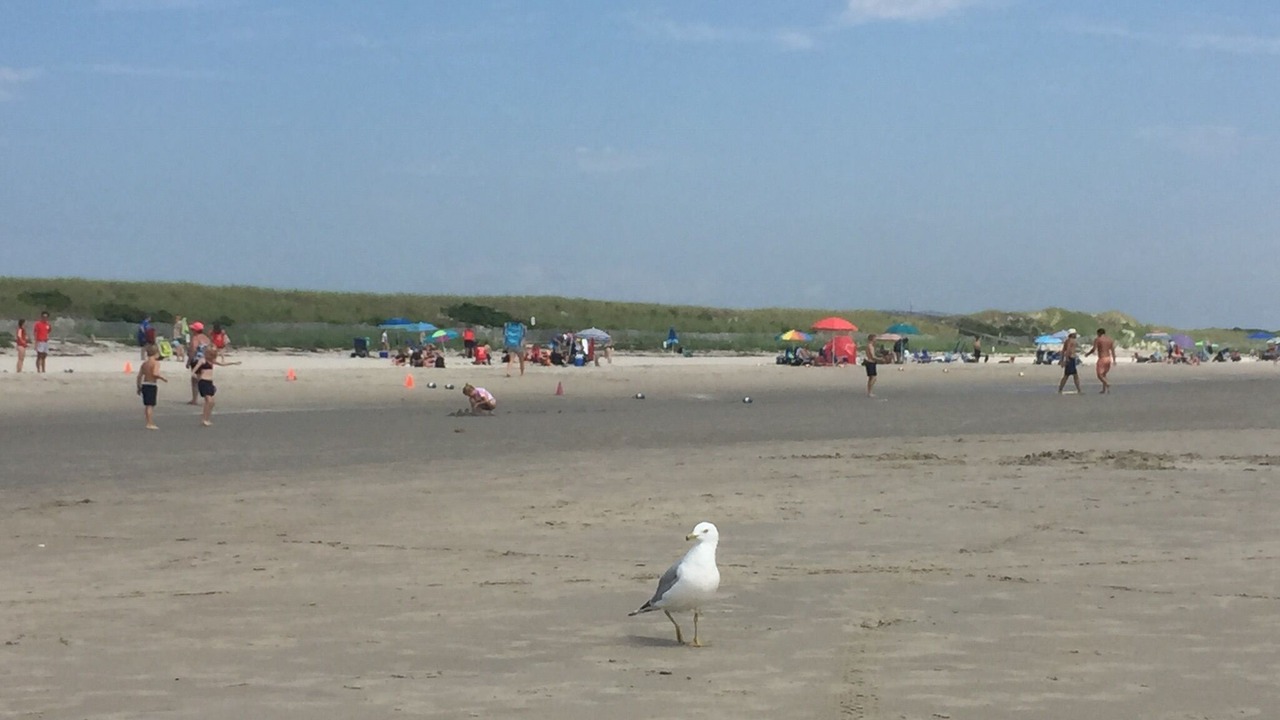Photo of Others in Ogunquit