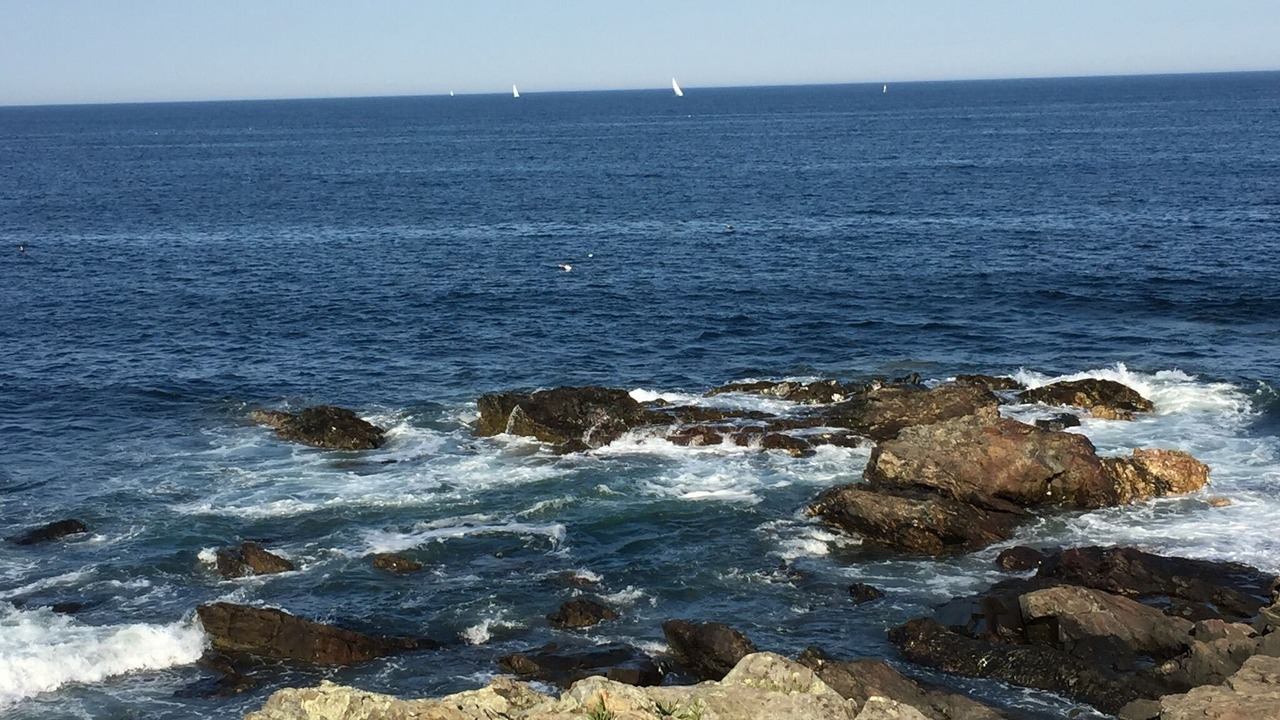 Photo of Others in Ogunquit