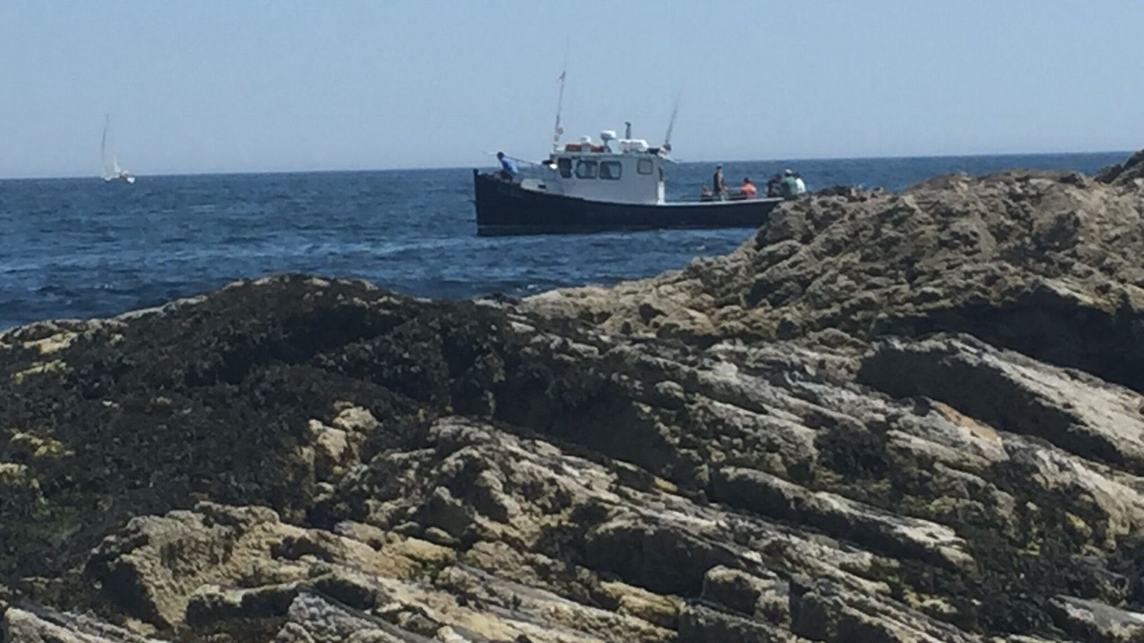 Photo of Others in Ogunquit