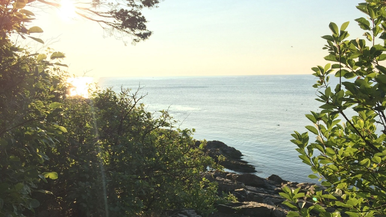 Photo of Others in Ogunquit