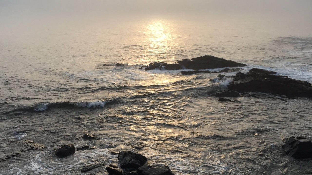 Photo of Others in Ogunquit