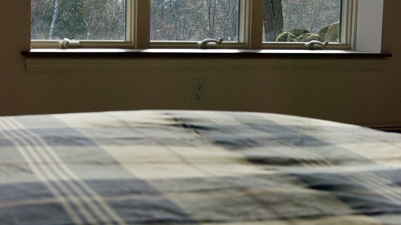 Photo of Others in Birch Hill