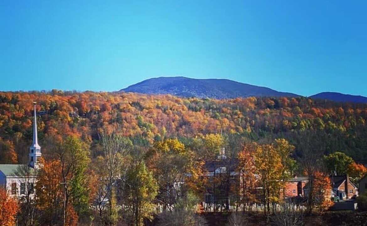 Photo of Others in Stowe Area
