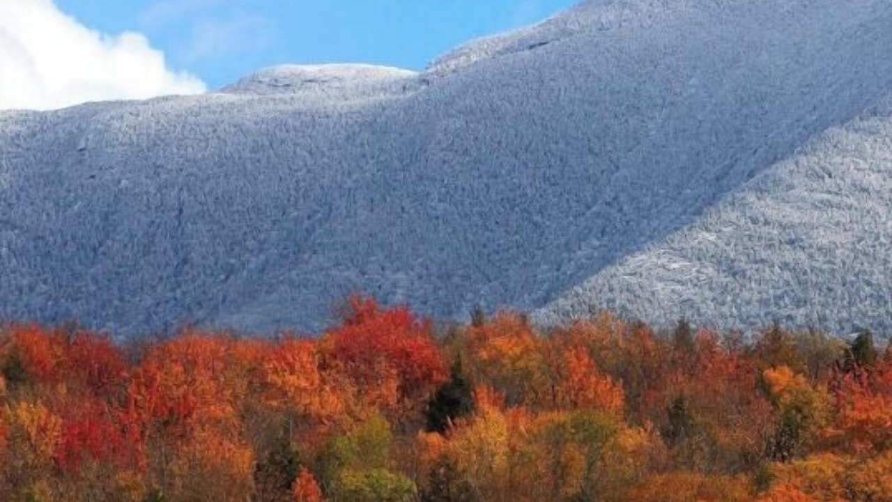 Photo of Others in Stowe Area