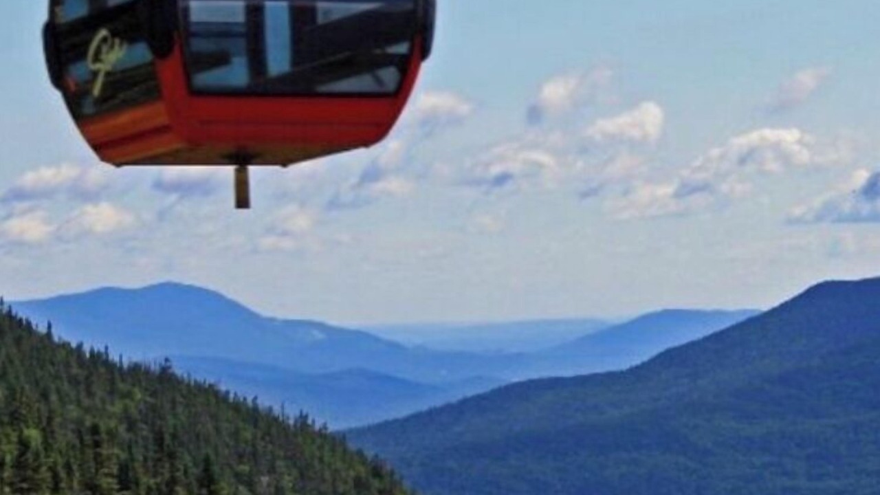 Photo of Others in Stowe Area
