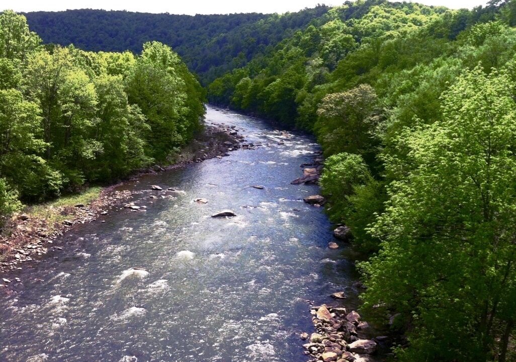 Photo of Others in Confluence