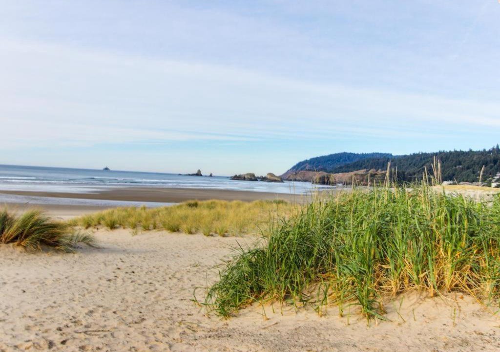 Photo of Others in Downtown Cannon Beach