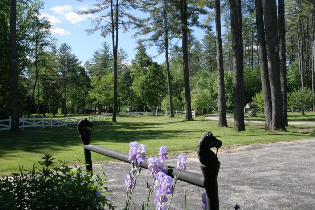 Photo of Others in Fryeburg