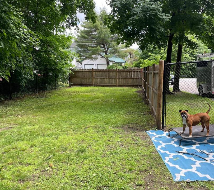 Photo of Outdoor in Concord