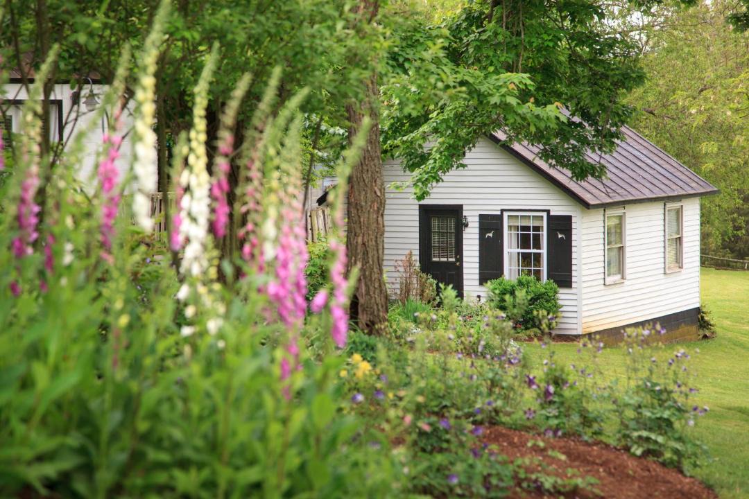 Photo of Others in Locust Dale