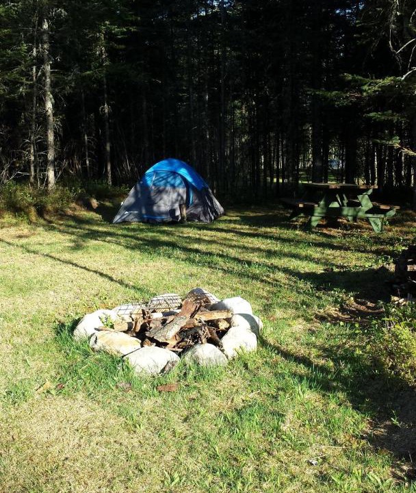 Photo of Others in Dummer
