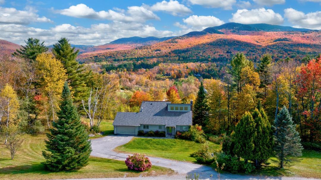 Photo of Others in Stowe Hollow