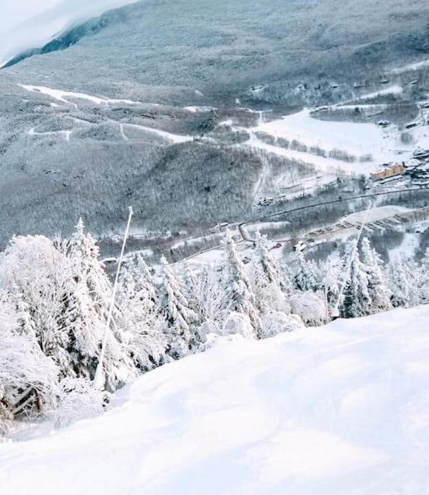 Photo of Others in Stowe
