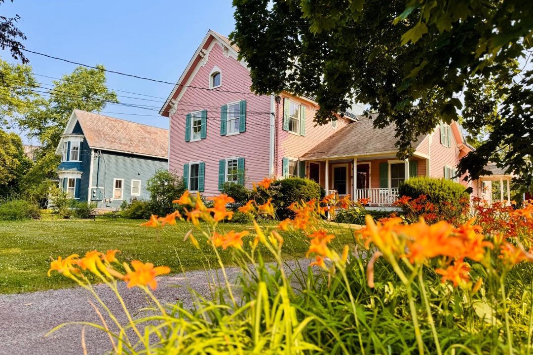 Photo of Others in Shelburne