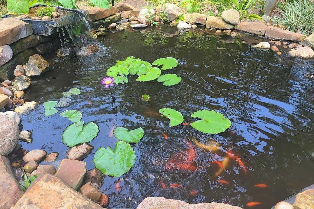 Photo of Outdoor in Bay City