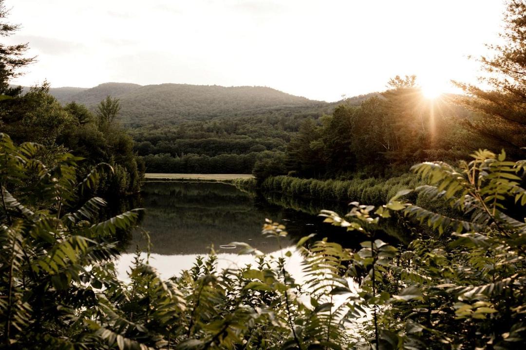 Photo of Others in North Woodstock