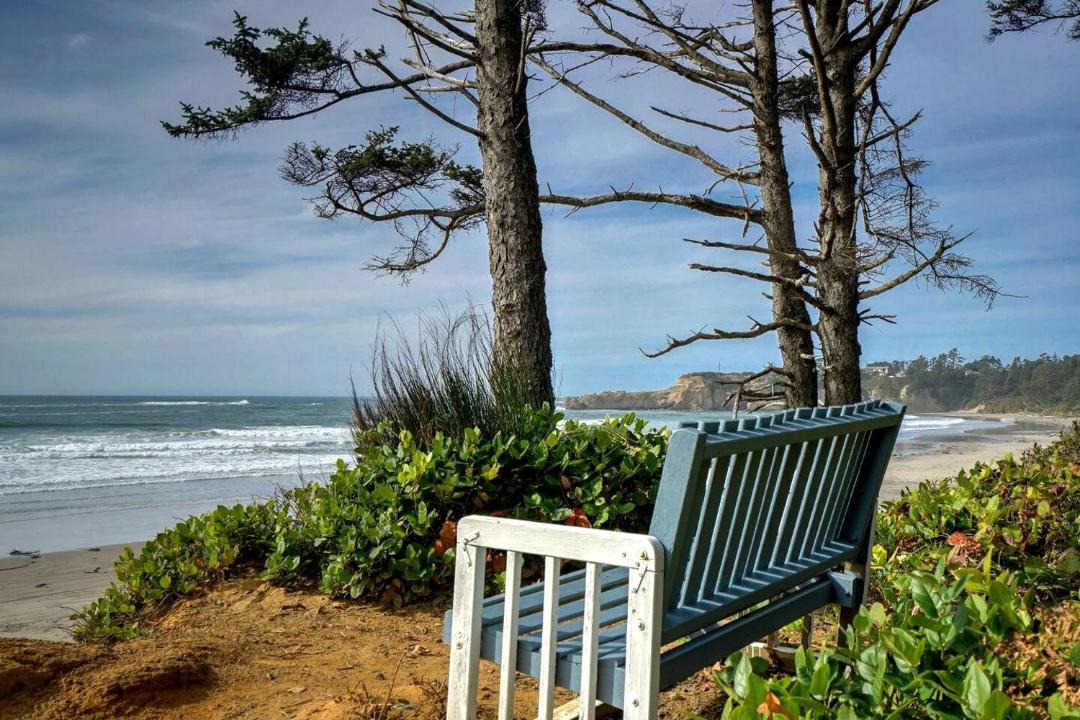 Photo of Others in Otter Rock