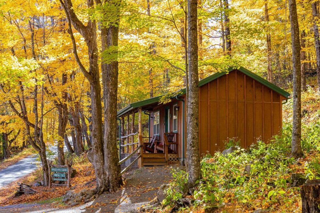 Photo of Others in Allegheny Mountains