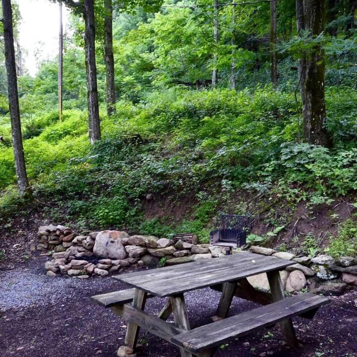 Photo of Others in Allegheny Mountains