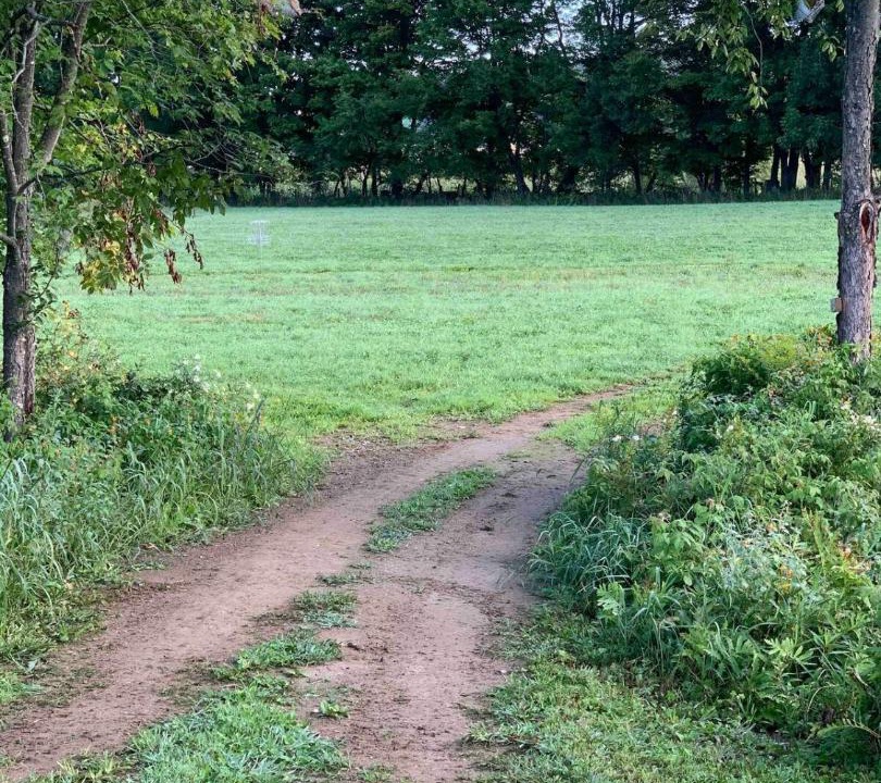 Photo of Others in Stowe Area