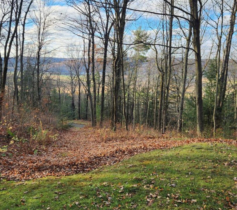 Photo of Others in Cohocton