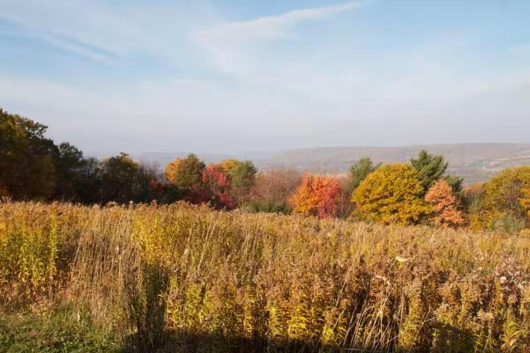 Photo of Others in Cohocton