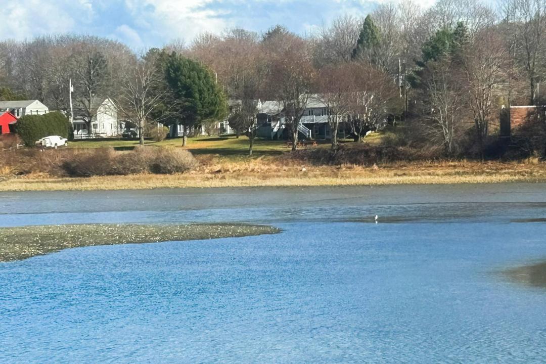 Photo of Others in York Harbor