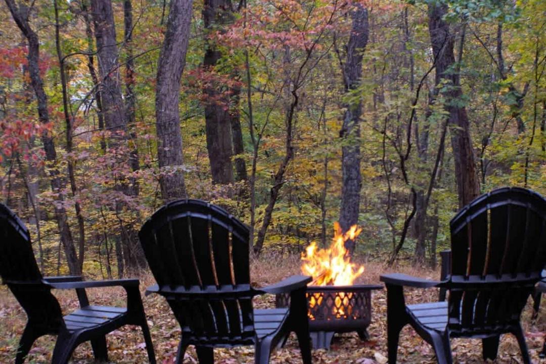 Photo of Others in The Woods