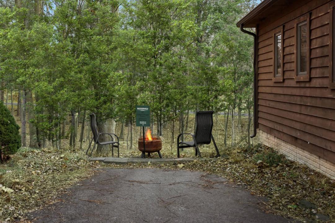 Photo of Others in The Woods