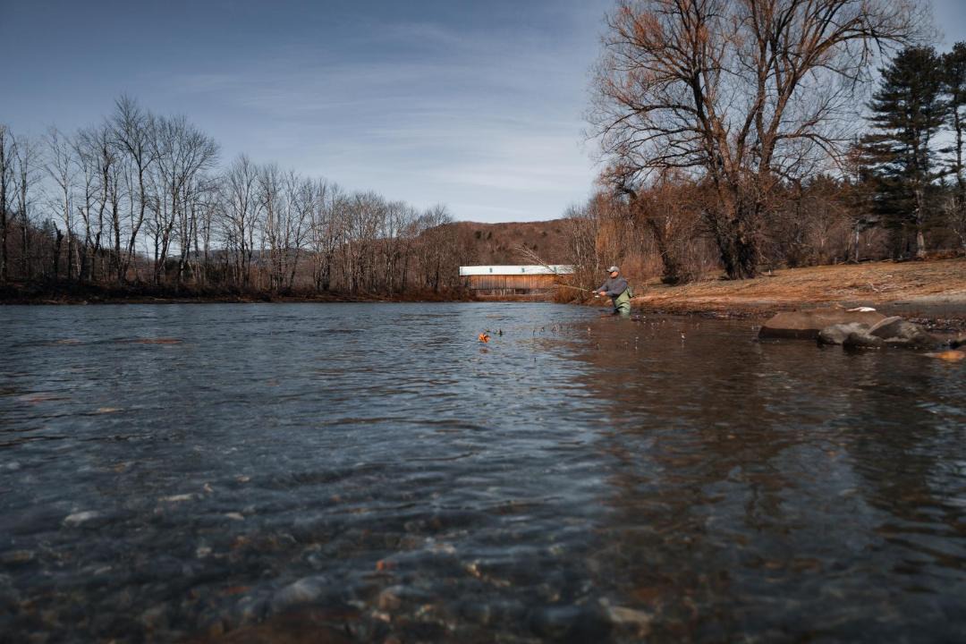 Photo of Others in West Woodstock