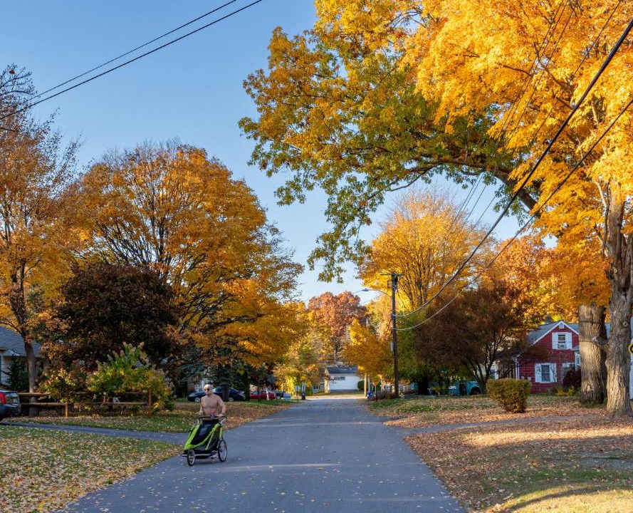 Photo of Others in South Burlington