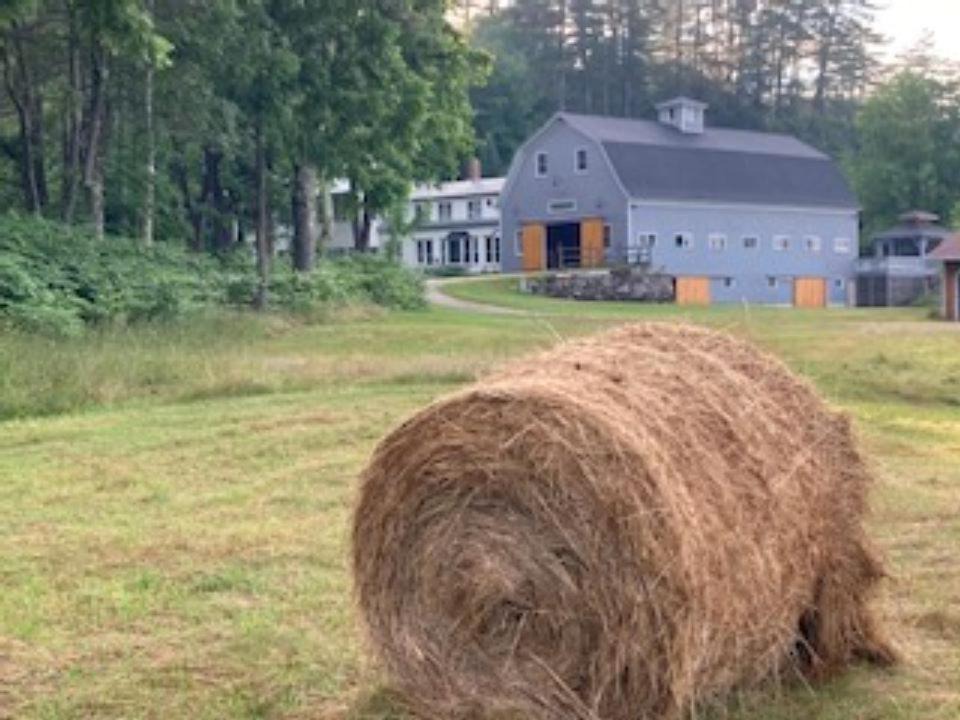 Photo of Others in Buckfield