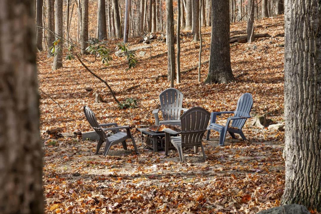 Photo of Others in Berkeley Springs