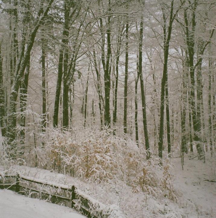 Photo of Others in East Haven  Rutland County