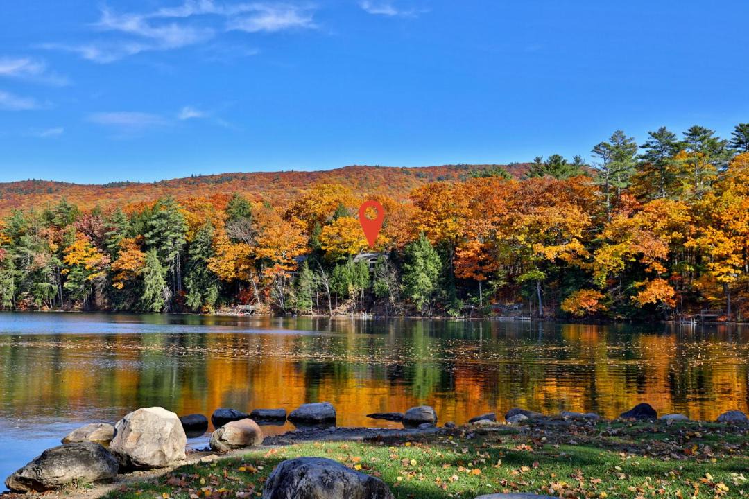 Photo of Others in Forest Dale