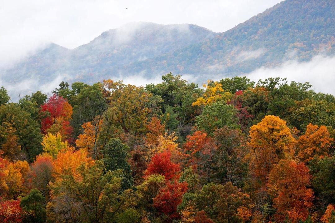 Photo of Others in Waterville Valley