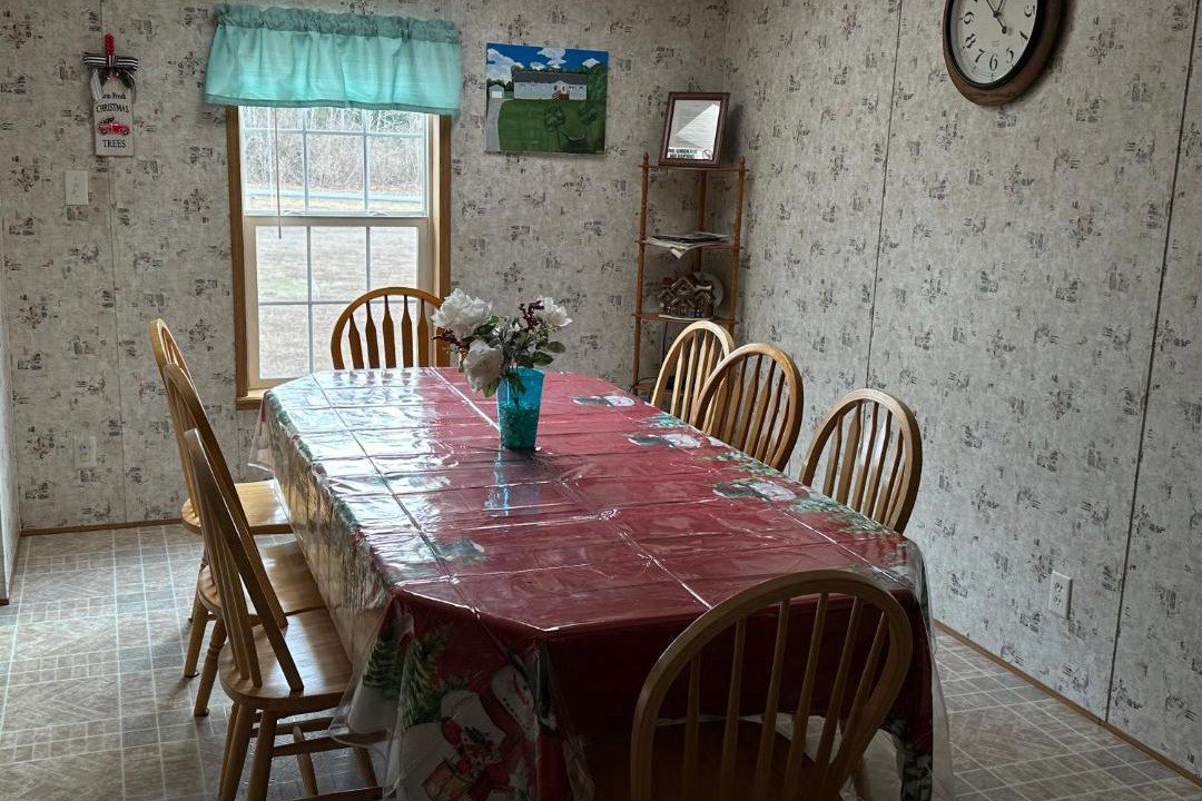 Photo of Kitchen in Cairo