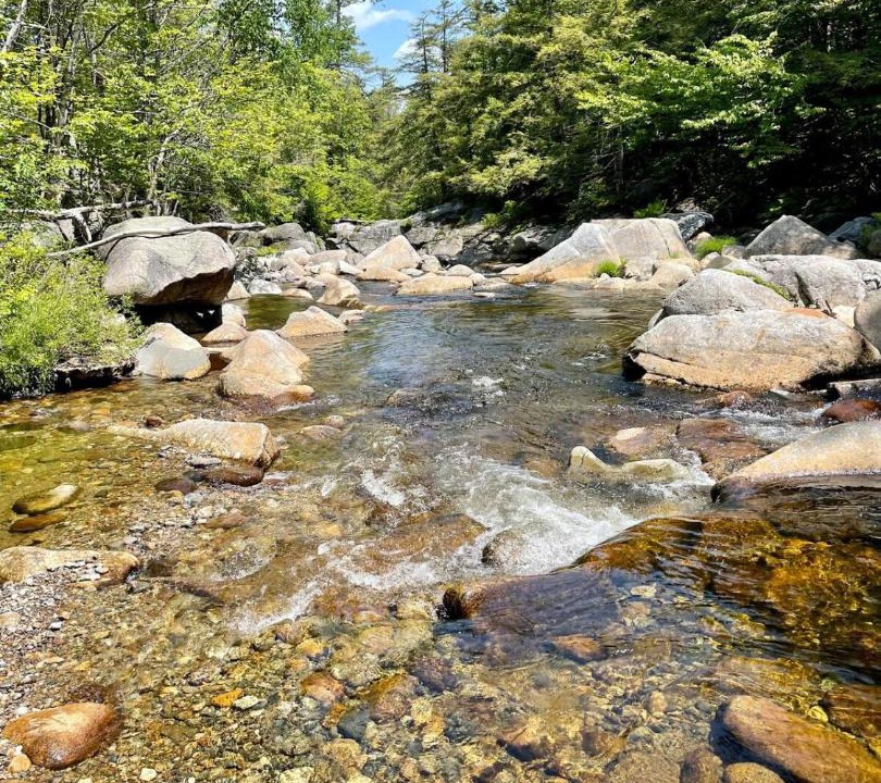 Photo of Others in North Woodstock