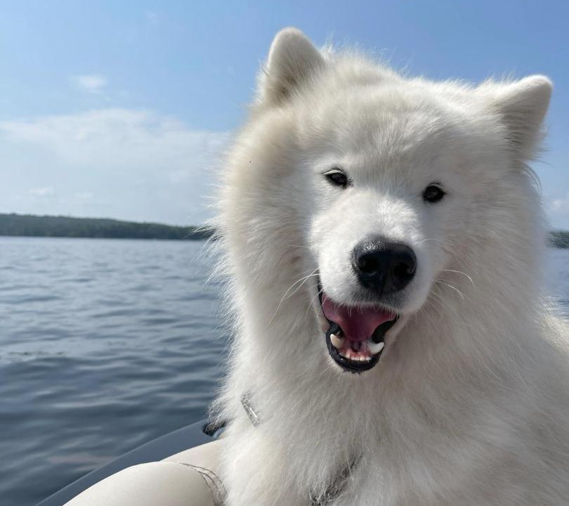 Photo of Others in Wolfeboro