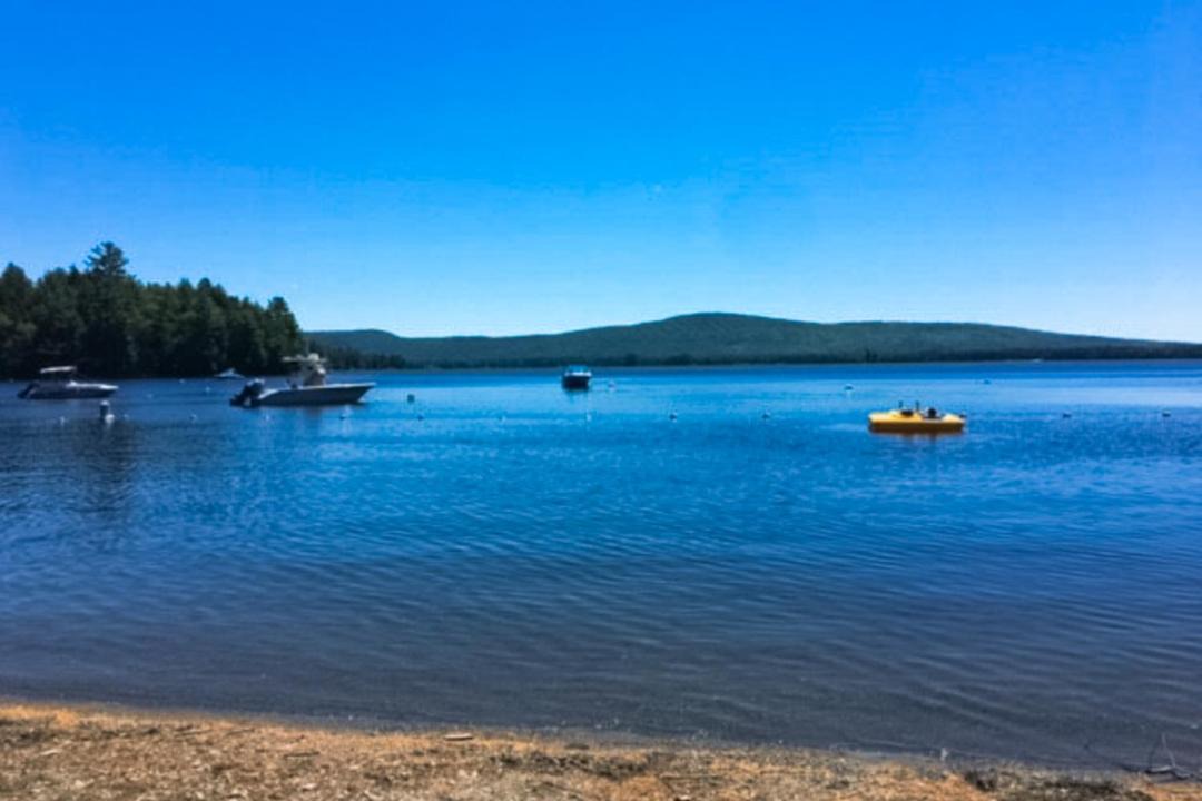 Photo of Others in Beaver Cove
